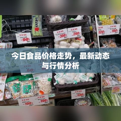 今日食品價格走勢,最新動態與行情分析