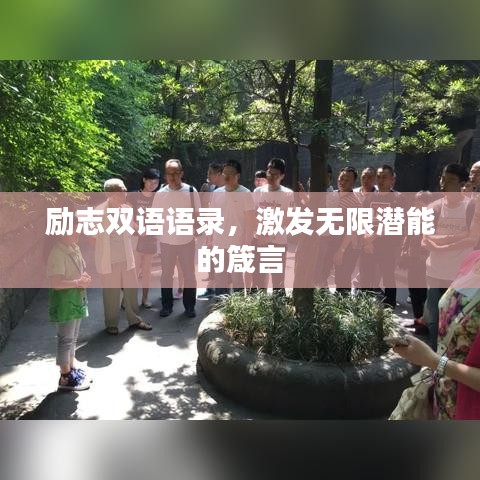 勵志雙語語錄,激發無限潛能的箴言