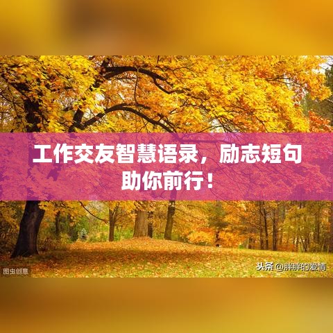 工作交友智慧語錄，勵志短句助你前行！