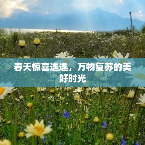 春天驚喜連連,萬物復(fù)蘇的美好時(shí)光