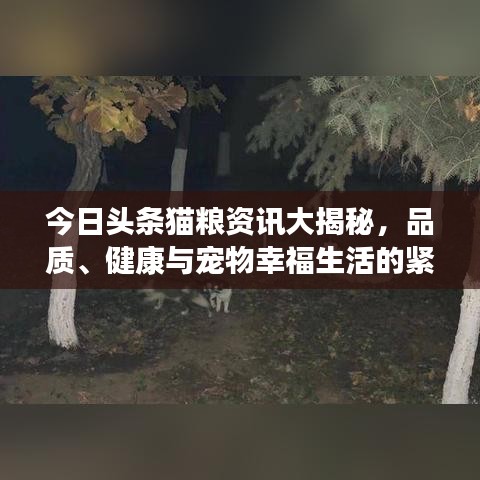 今日頭條貓糧資訊大揭秘,品質(zhì)、健康與寵物幸福生活的緊密關(guān)聯(lián)