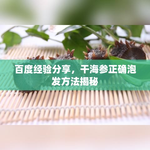 百度經驗分享,干海參正確泡發方法揭秘