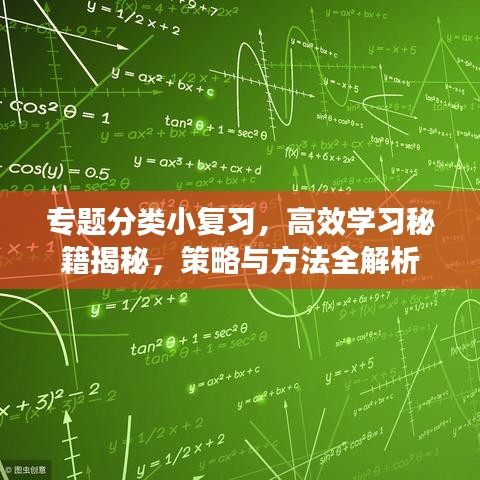 專題分類小復習,高效學習秘籍揭秘,策略與方法全解析