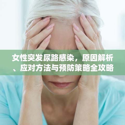 女性突發尿路感染,原因解析、應對方法與預防策略全攻略