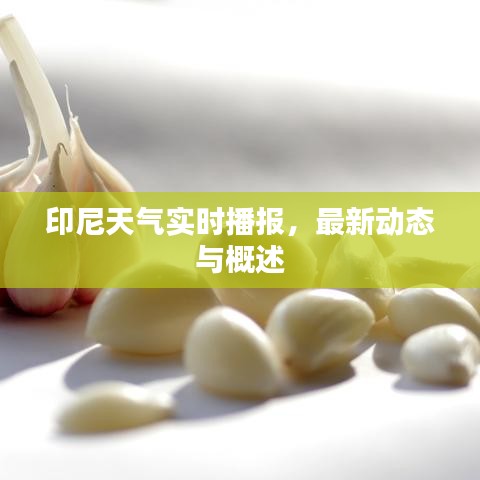 印尼天氣實時播報,最新動態與概述