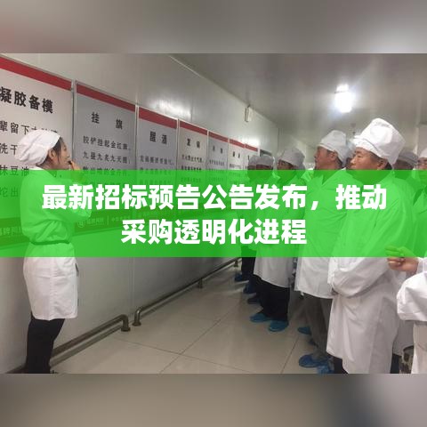 最新招標預告公告發布,推動采購透明化進程