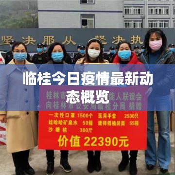 臨桂今日疫情最新動(dòng)態(tài)概覽