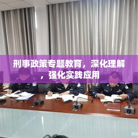 刑事政策專題教育,深化理解,強化實踐應用