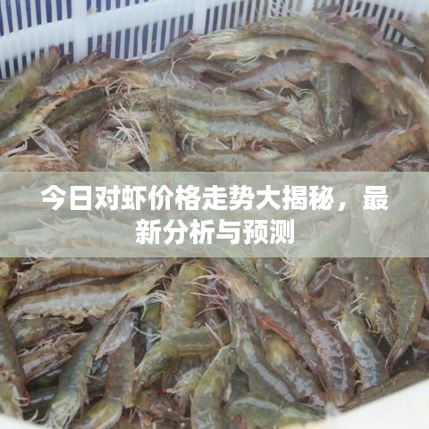 今日對(duì)蝦價(jià)格走勢(shì)大揭秘，最新分析與預(yù)測(cè)