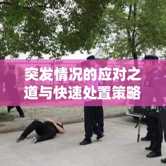 突發(fā)情況的應對之道與快速處置策略思考