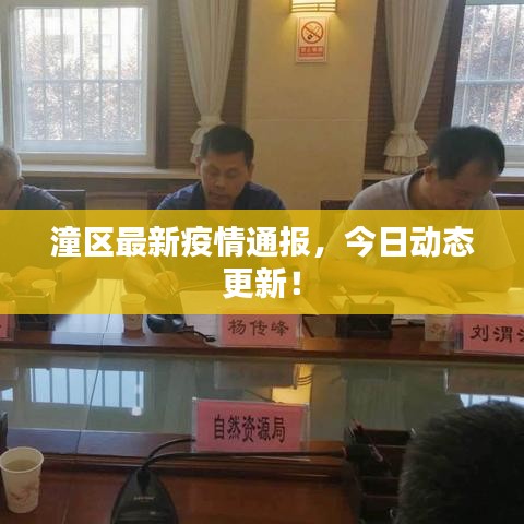 潼區最新疫情通報,今日動態更新!