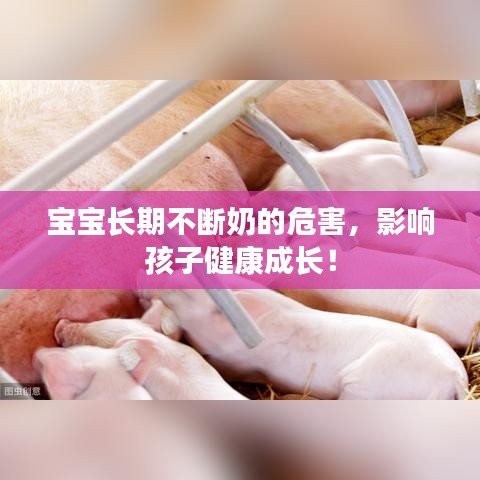 寶寶長期不斷奶的危害,影響孩子健康成長!