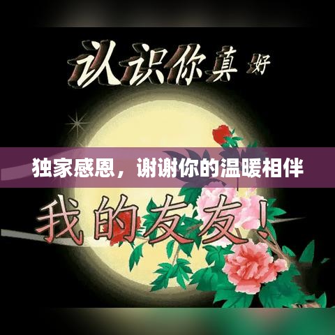 獨家感恩，謝謝你的溫暖相伴