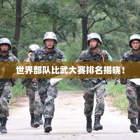 世界部隊(duì)比武大賽排名揭曉!