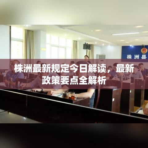 株洲最新規定今日解讀,最新政策要點全解析