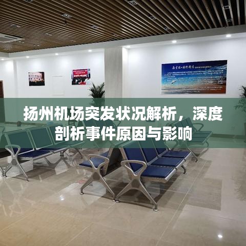 揚州機場突發狀況解析,深度剖析事件原因與影響