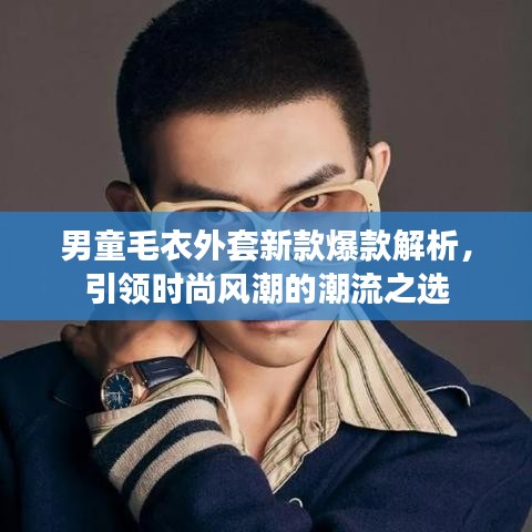 男童毛衣外套新款爆款解析,引領(lǐng)時(shí)尚風(fēng)潮的潮流之選