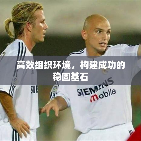 高效組織環境,構建成功的穩固基石