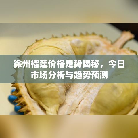 徐州榴蓮價格走勢揭秘，今日市場分析與趨勢預(yù)測
