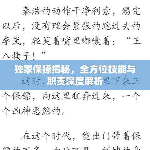 獨家保鏢揭秘,全方位技能與職責深度解析