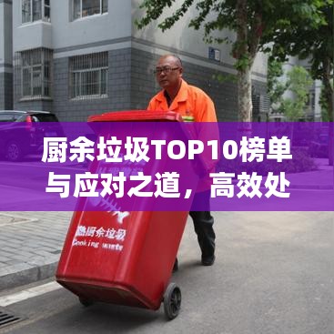 廚余垃圾TOP10榜單與應對之道,高效處理策略揭秘