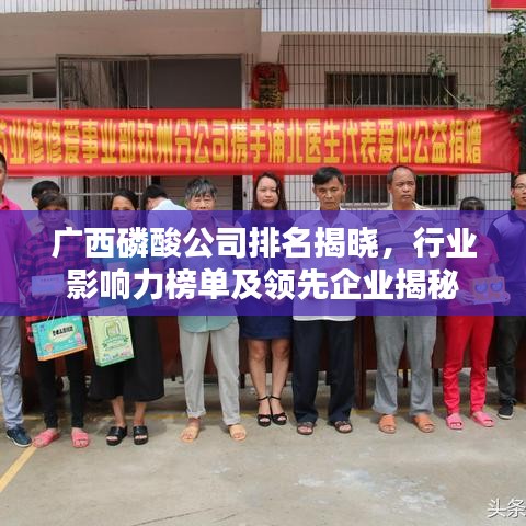 廣西磷酸公司排名揭曉,行業(yè)影響力榜單及領(lǐng)先企業(yè)揭秘