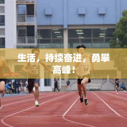 生活,持續奮進,勇攀高峰!