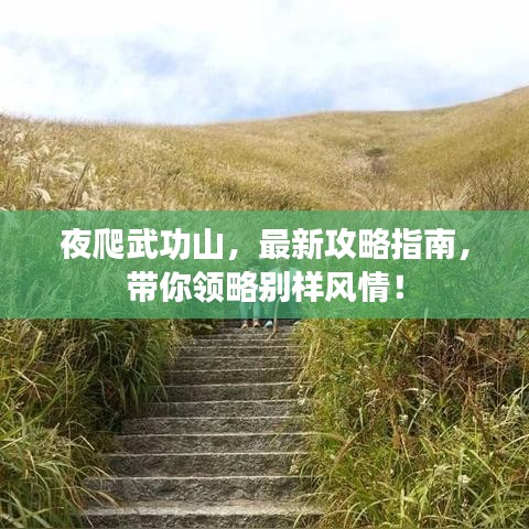 夜爬武功山,最新攻略指南,帶你領(lǐng)略別樣風(fēng)情!