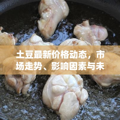 土豆最新價格動態，市場走勢、影響因素與未來預測分析
