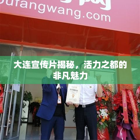 大連宣傳片揭秘,活力之都的非凡魅力