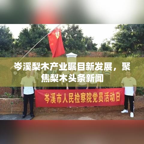 岑溪梨木產業矚目新發展，聚焦梨木頭條新聞