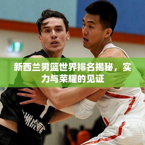 新西蘭男籃世界排名揭秘，實力與榮耀的見證