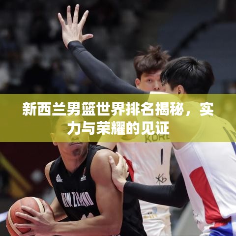 新西蘭男籃世界排名揭秘,實力與榮耀的見證