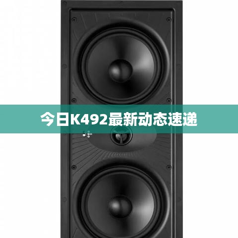 今日K492最新動態速遞