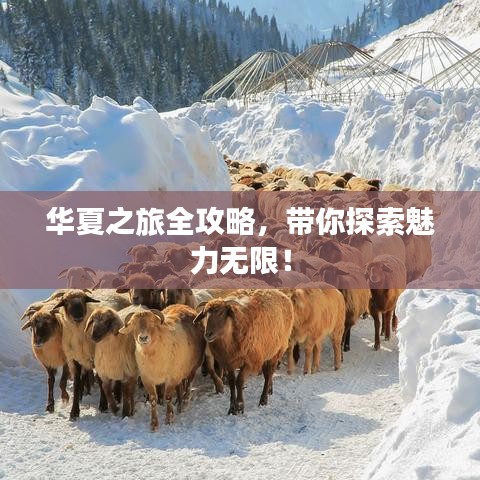 華夏之旅全攻略，帶你探索魅力無限！