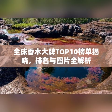 全球香水大牌TOP10榜單揭曉,排名與圖片全解析