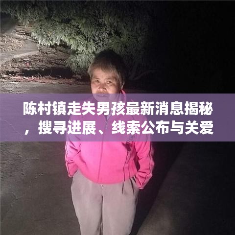 陳村鎮走失男孩最新消息揭秘，搜尋進展、線索公布與關愛行動啟動