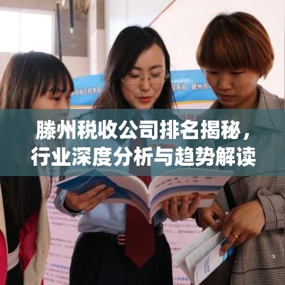 滕州稅收公司排名揭秘,行業深度分析與趨勢解讀