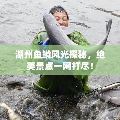 湖州魚鱗風光探秘，絕美景點一網打盡！
