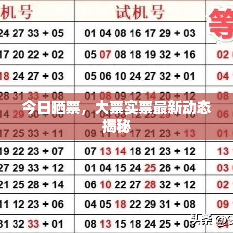 今日曬票,大票實(shí)票最新動(dòng)態(tài)揭秘