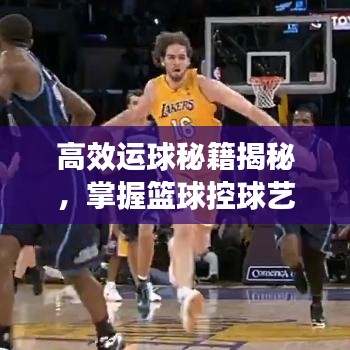 高效運球秘籍揭秘，掌握籃球控球藝術(shù)的關(guān)鍵要領(lǐng)