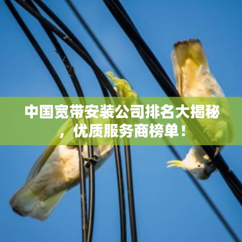 中國寬帶安裝公司排名大揭秘，優(yōu)質(zhì)服務(wù)商榜單！