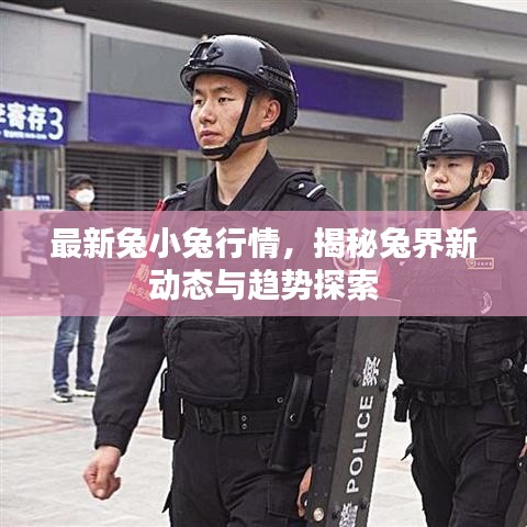 最新兔小兔行情,揭秘兔界新動態與趨勢探索