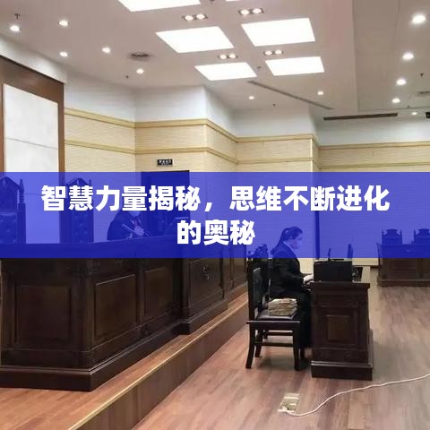 智慧力量揭秘,思維不斷進(jìn)化的奧秘