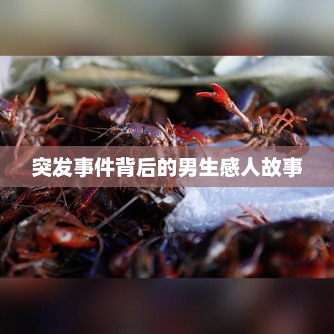 突發事件背后的男生感人故事
