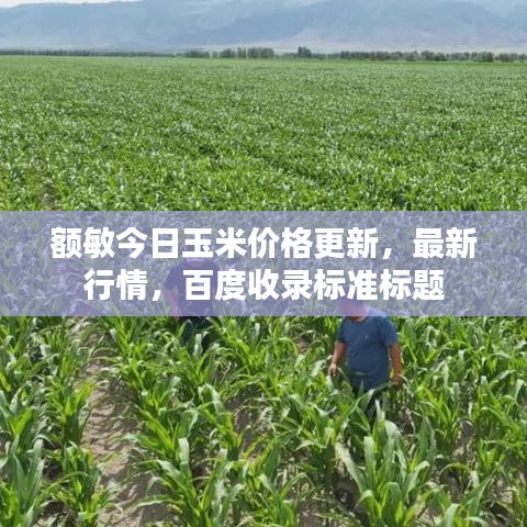 額敏今日玉米價格更新，最新行情，百度收錄標準標題