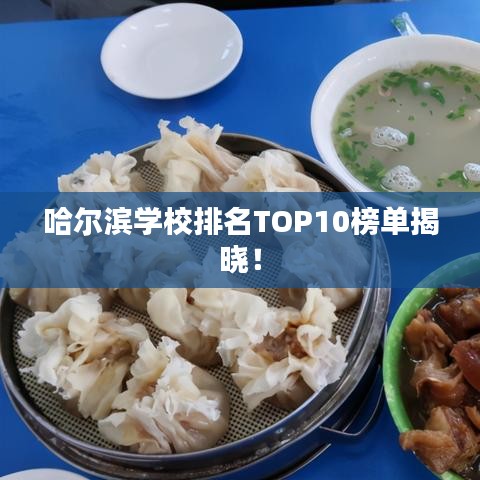 哈爾濱學(xué)校排名TOP10榜單揭曉!