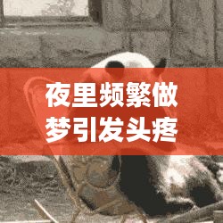 夜里頻繁做夢引發頭疼,原因及解決方法深度解析