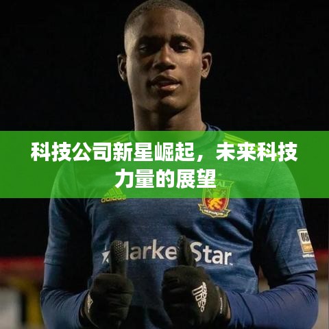 科技公司新星崛起,未來科技力量的展望