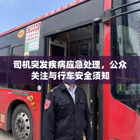 司機突發疾病應急處理，公眾關注與行車安全須知